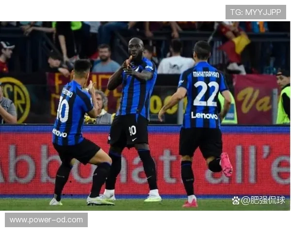 劳塔罗与卢卡库巅峰期进攻效率及战术适配性对比