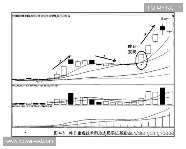 加纳能否重现2010辉煌 2026世界杯黑马潜力深度解析 加纳能否重现2010辉煌 2026世界杯黑马潜力深度解析